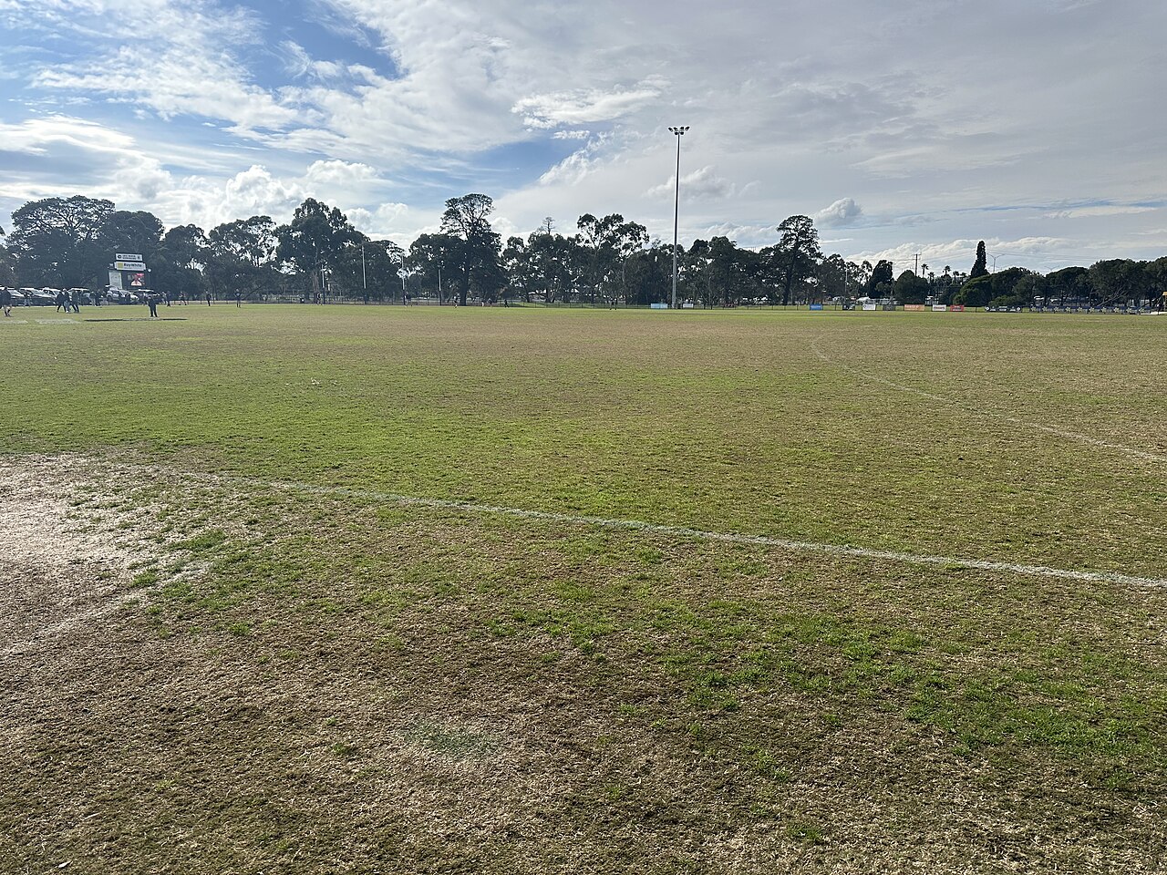 Grassed football oval ringed by trees