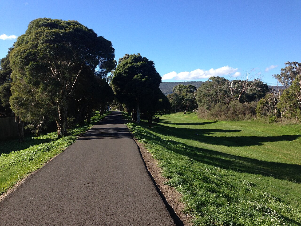 Ferny Creek Trail, Ferntree Gully