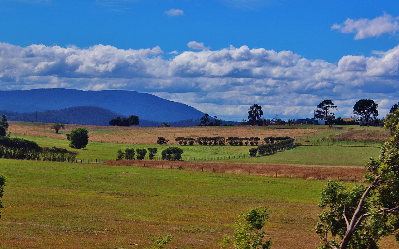 Farmland and distant ranges around Healesville