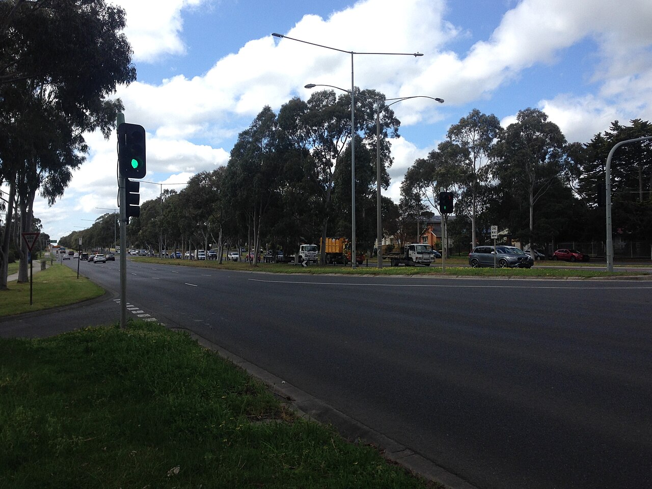 Tree-lined intersection on Wellington Road with traffic lights