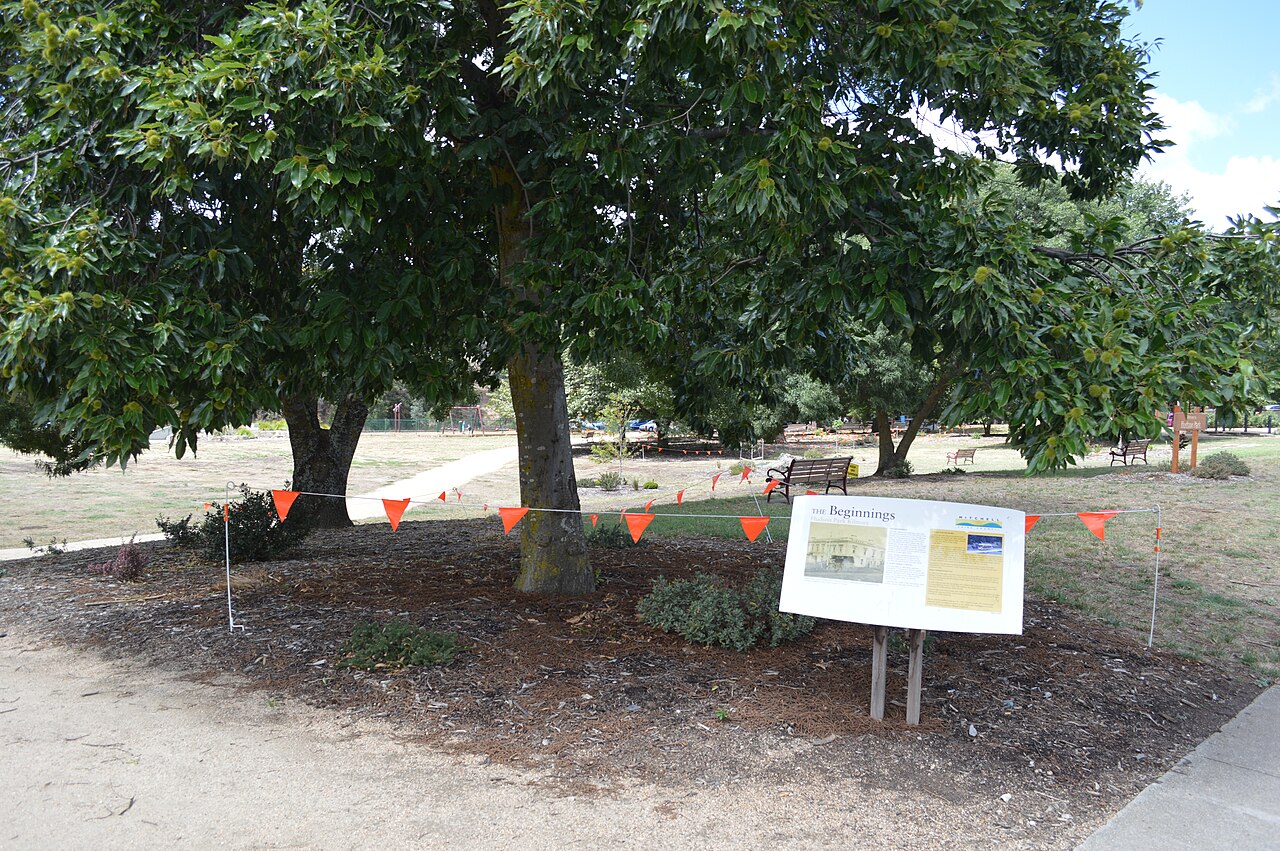Shady trees at Kilmore Hudson Park