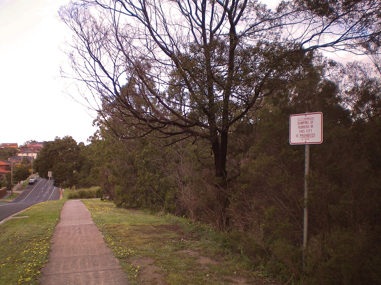 Footpath through Lynnwood Parade Reserve