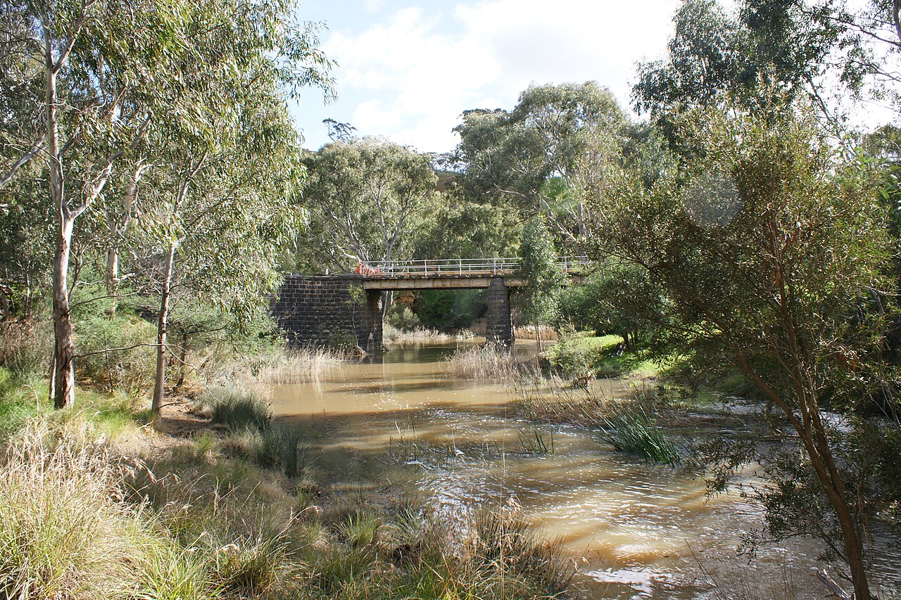 Creek and footbridge among trees at Martin Dillon Reserve