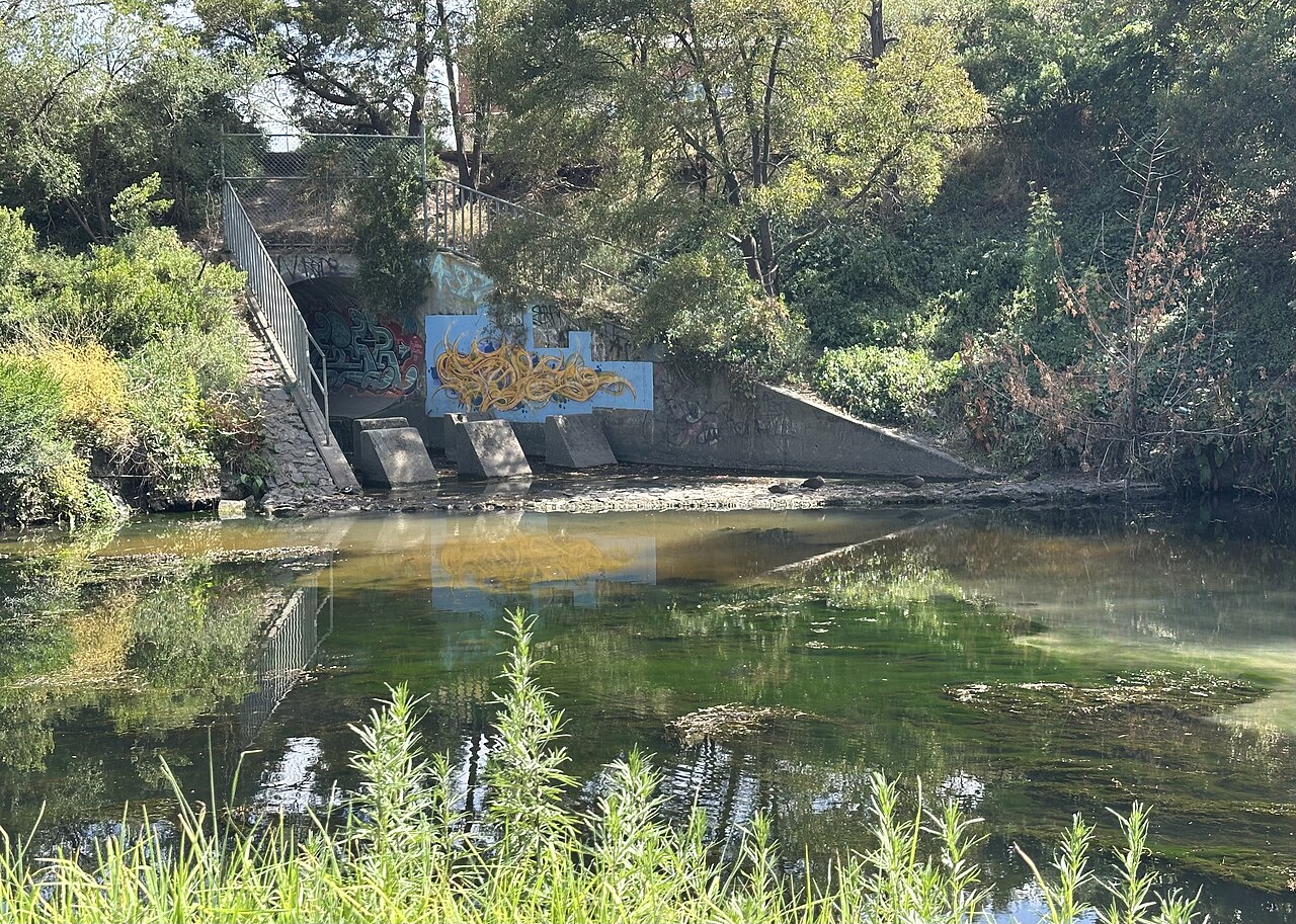 Merri Creek flowing past a weir among trees