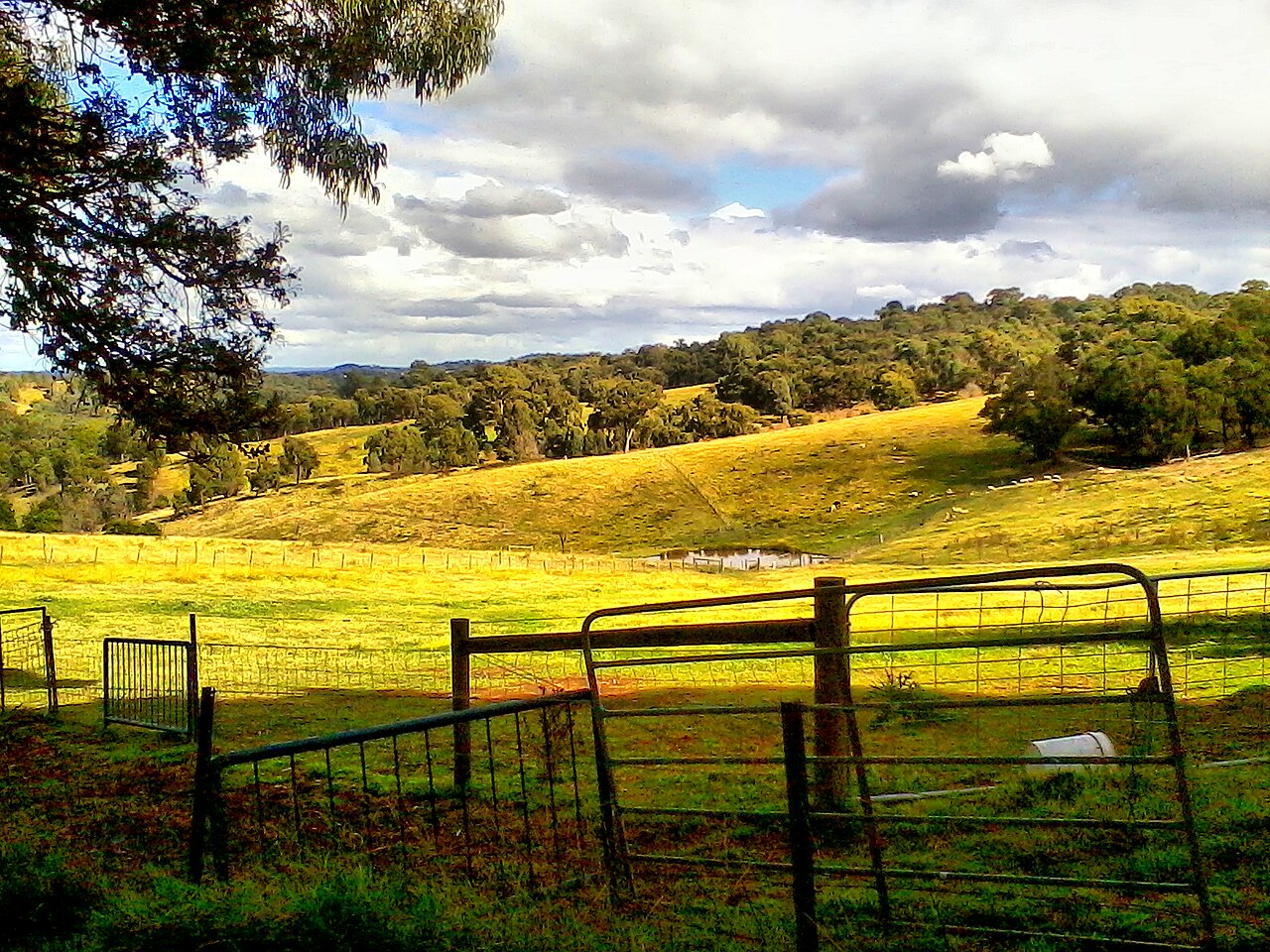Open green pastures and farm gate at an old farm in Cottle's Bridge