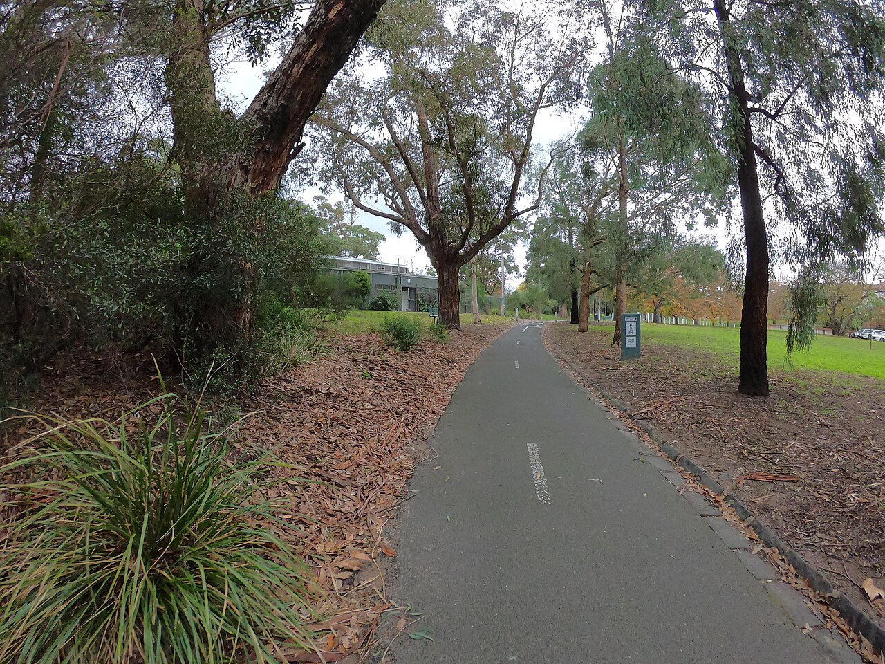 Outer Circle Trail path through Boroondara Park