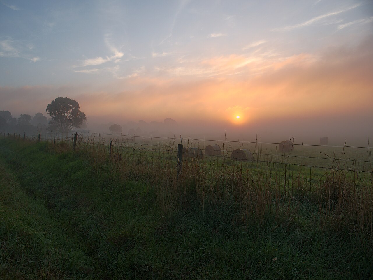 Misty sunrise over a rural paddock with a wire fence