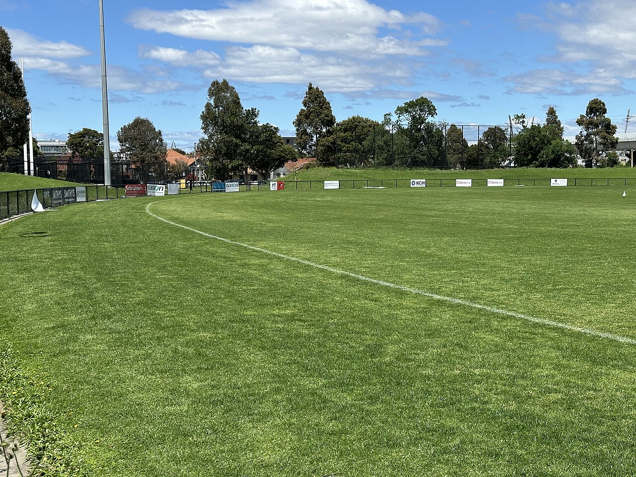 Grassed sports oval with a row of trees beyond