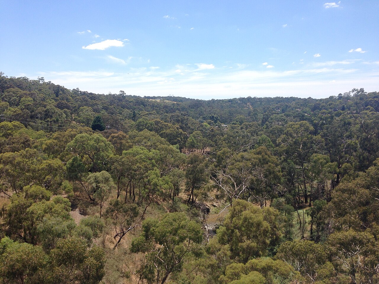 Wooded Plenty River valley