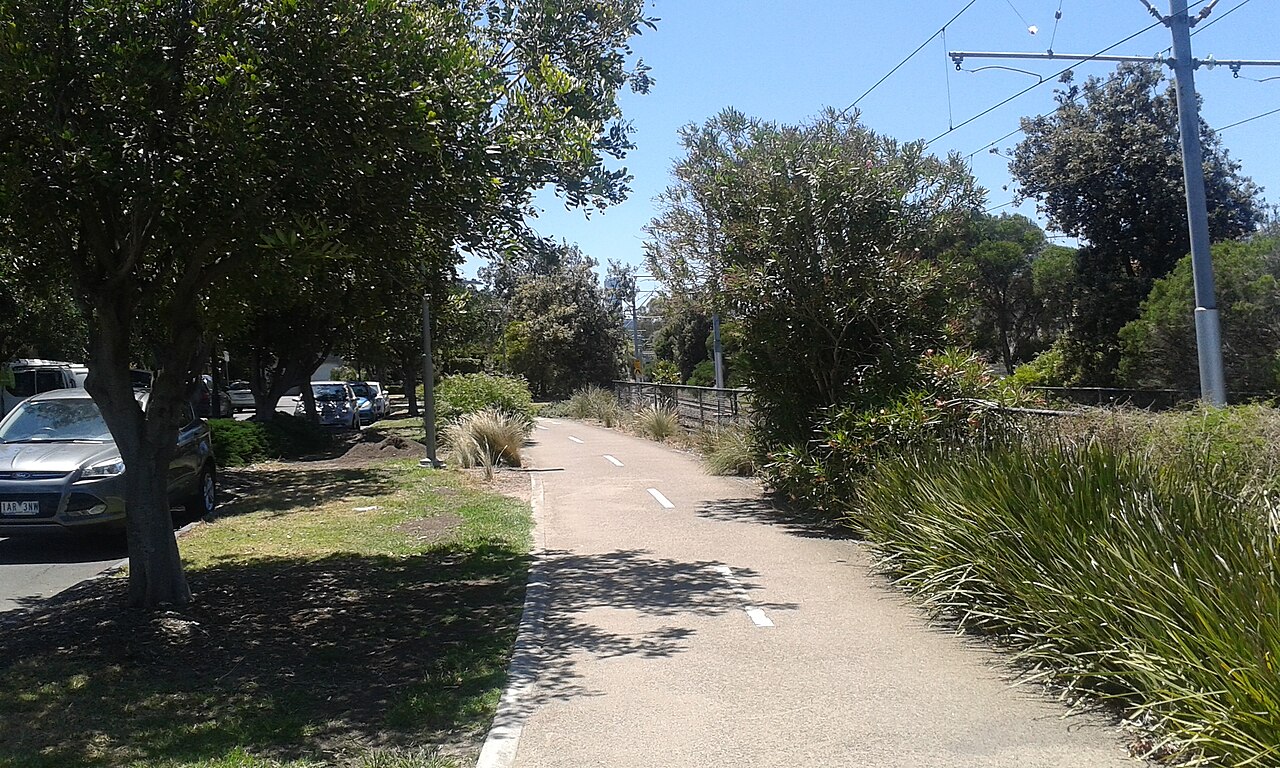 Tree-lined shared path in Port Melbourne