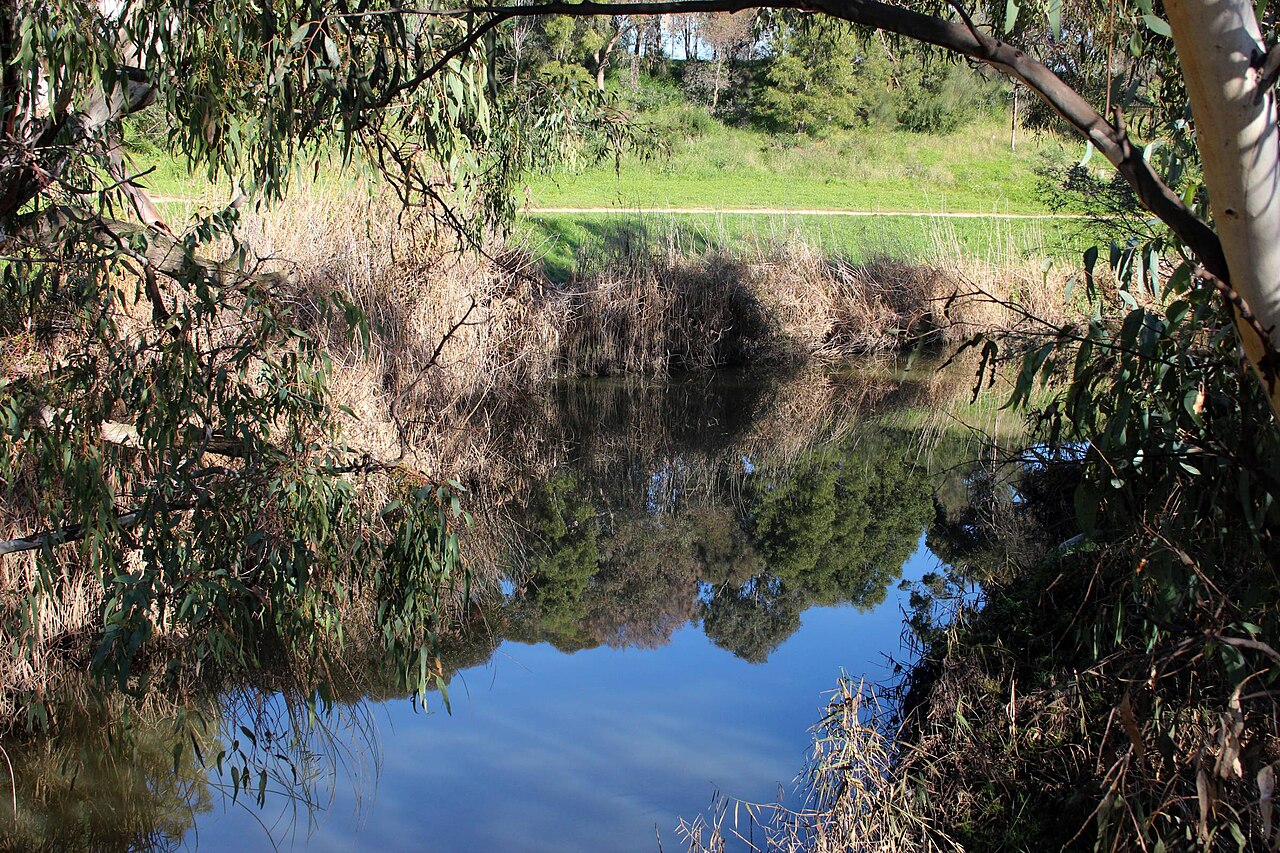 Reflective pool on Merri Creek at Moomba Park