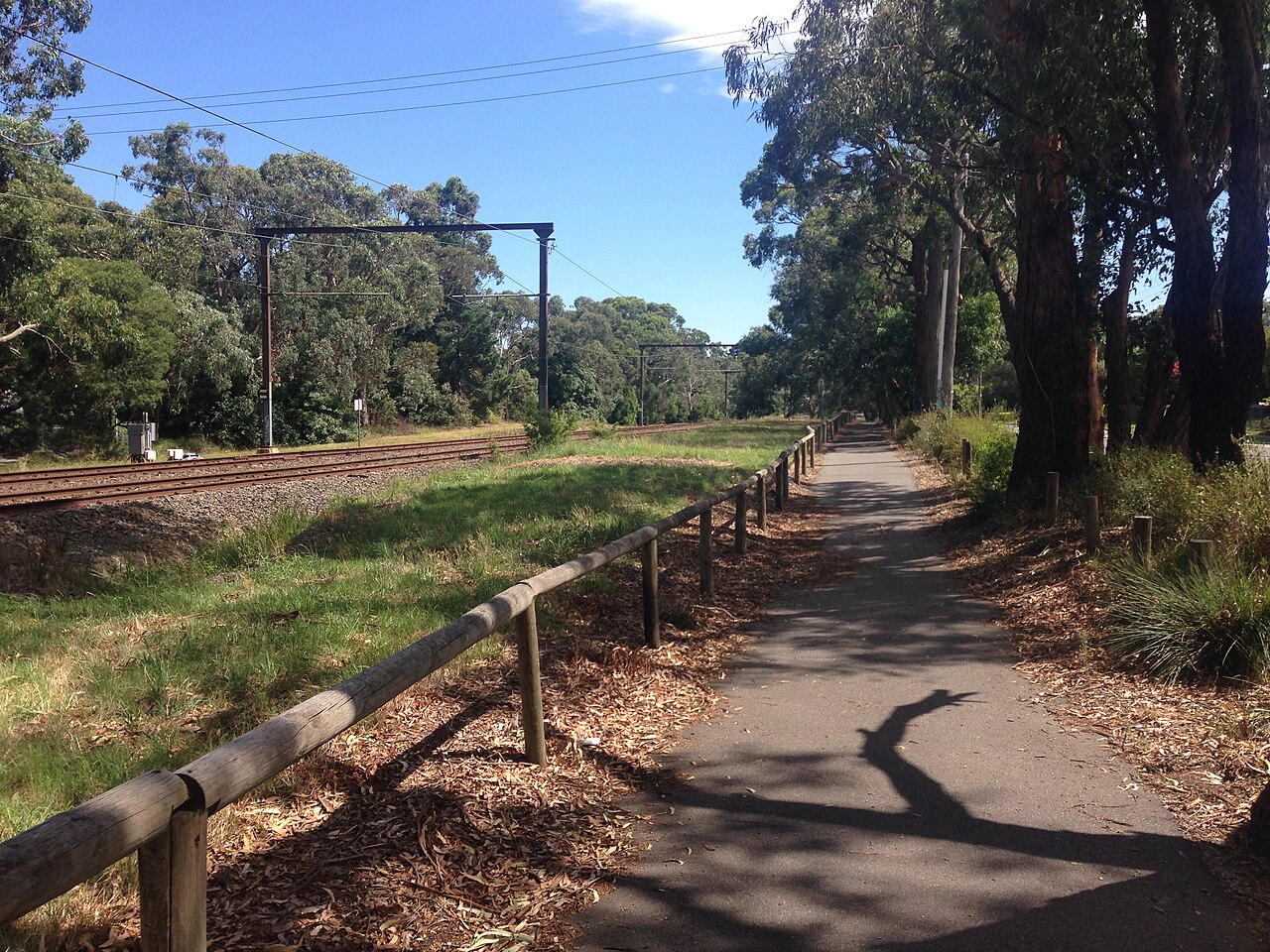 Ringwood-Belgrave Rail Trail, Ferntree Gully
