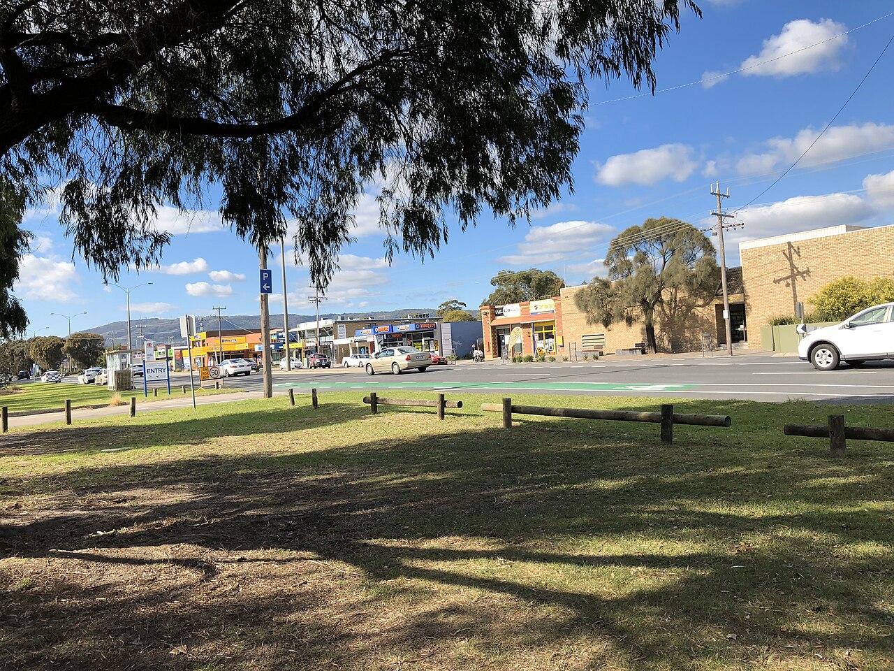 Grass and trees near Rotary Park in Rosebud