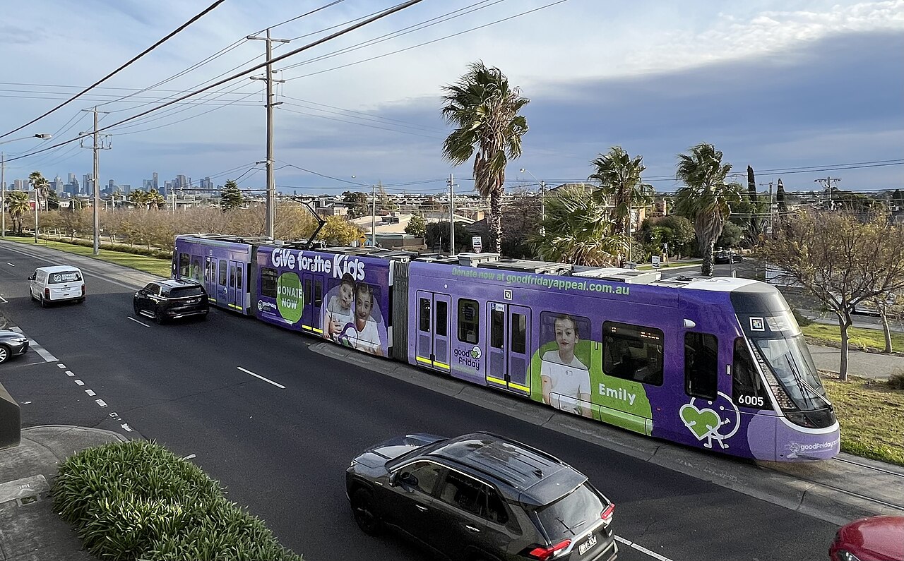 Route 11 tram on a palm-lined road