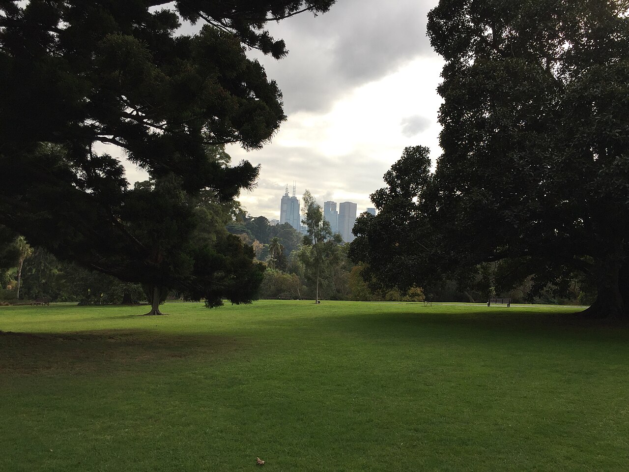 Lawn and trees in the Royal Botanic Gardens