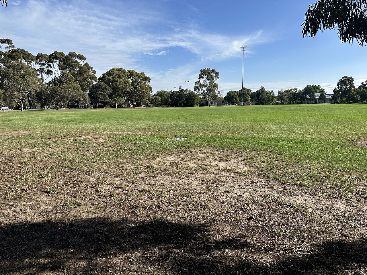 Open grassed field at Selwyn Park