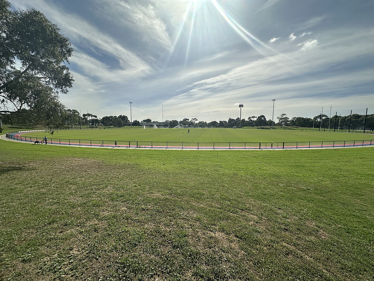 Open grass at Skinner Reserve under a bright sky