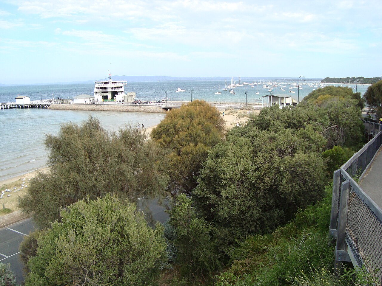 Sorrento pier and ferry seen over coastal scrub