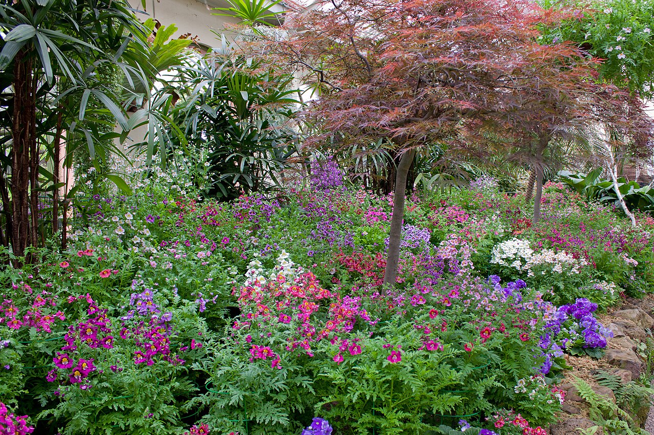Spring flower display at Fitzroy Gardens Conservatory
