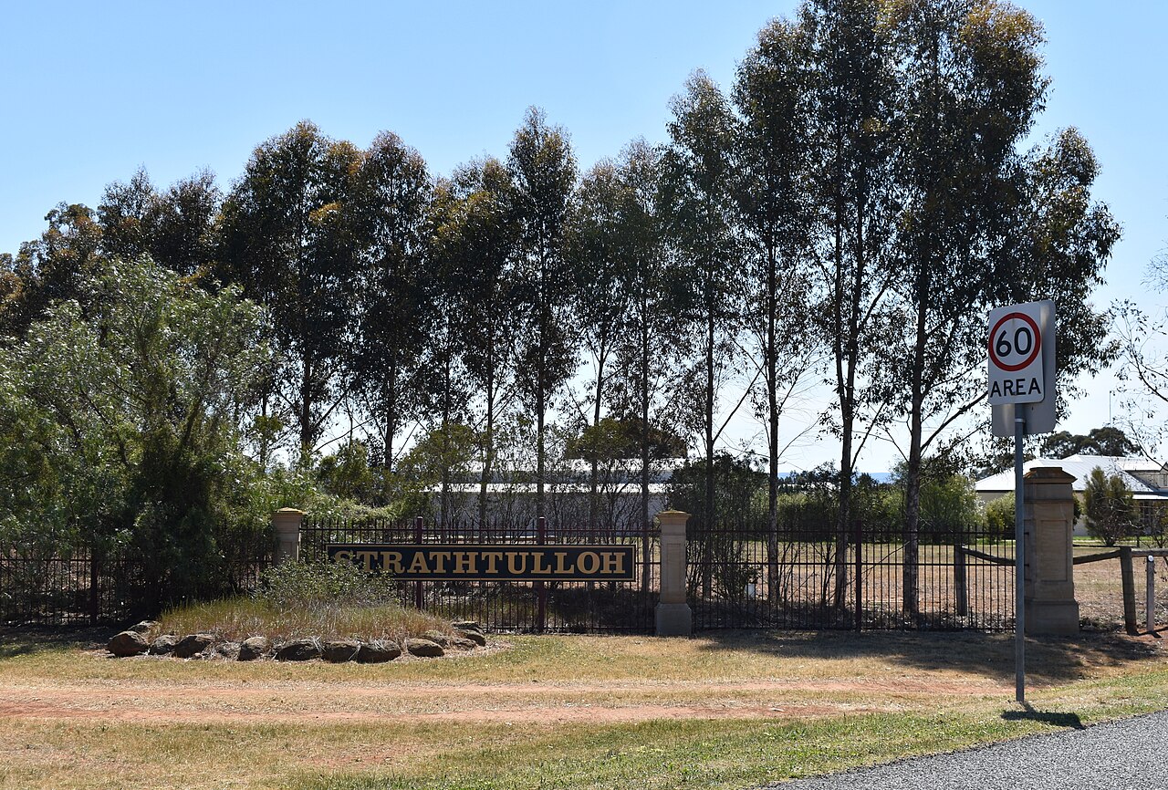 Strathtulloh subdivision entrance sign among tall gum trees