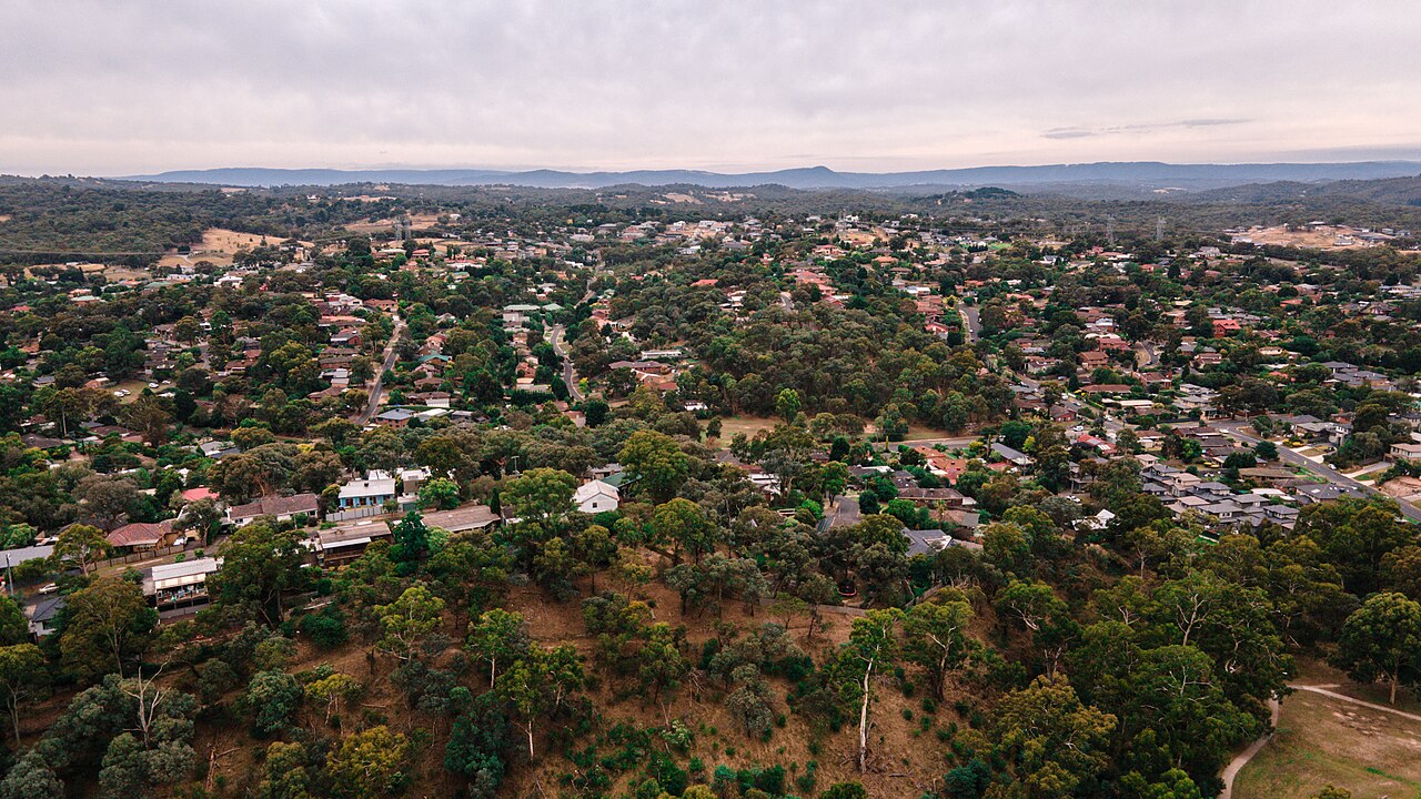 Aerial view of tree-lined suburban homes in Diamond Creek