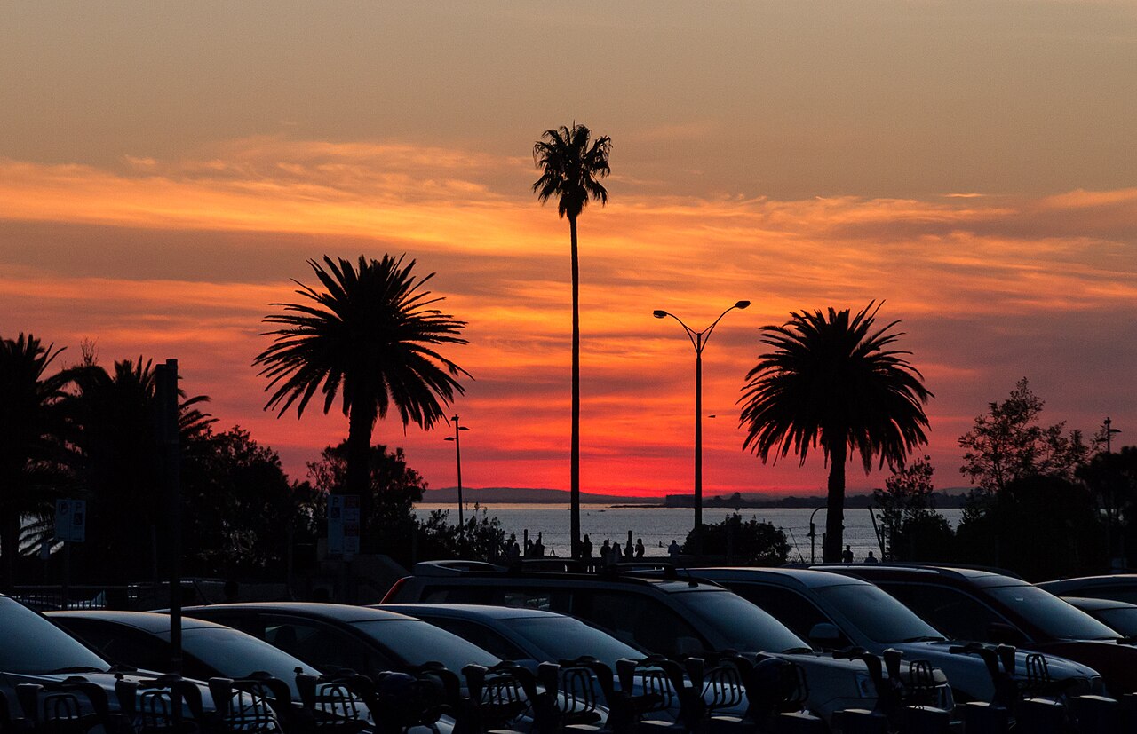 Palm trees silhouetted against a red sunset over a carpark by the bay