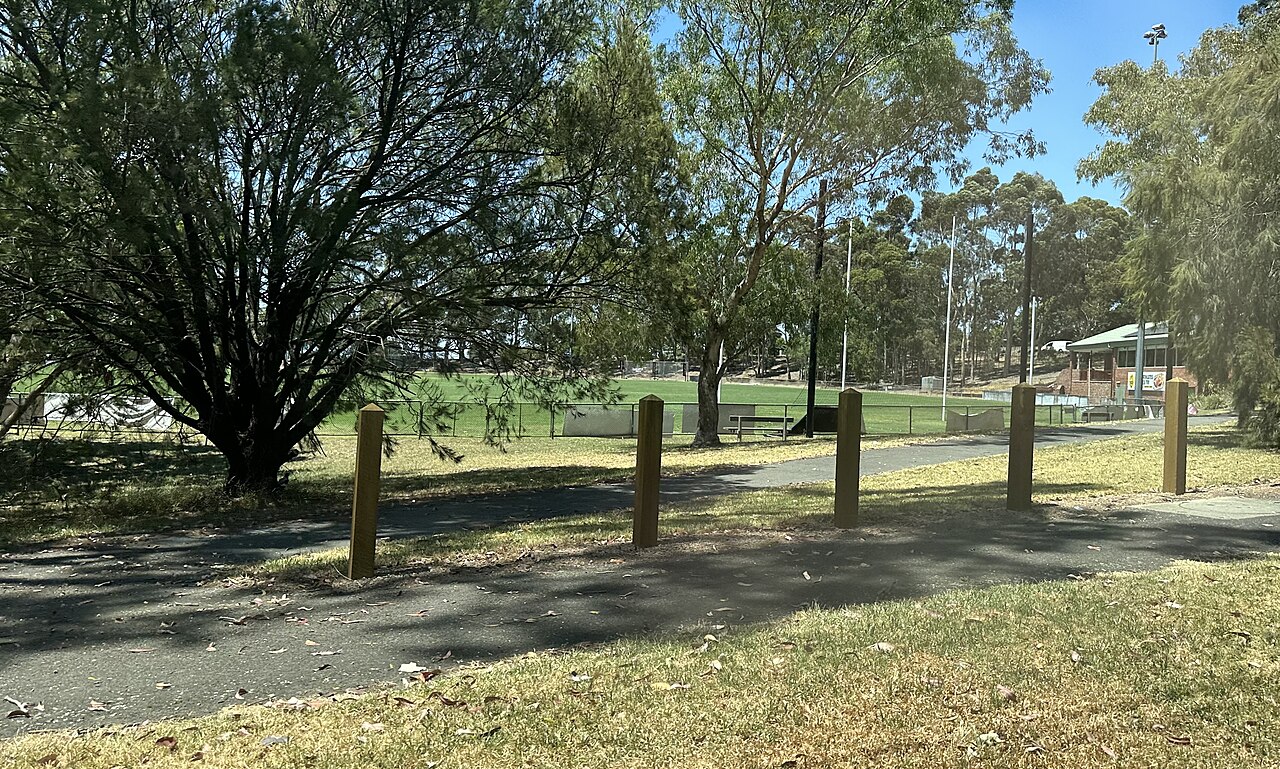 Trees and bollards at Surrey Park Reserve