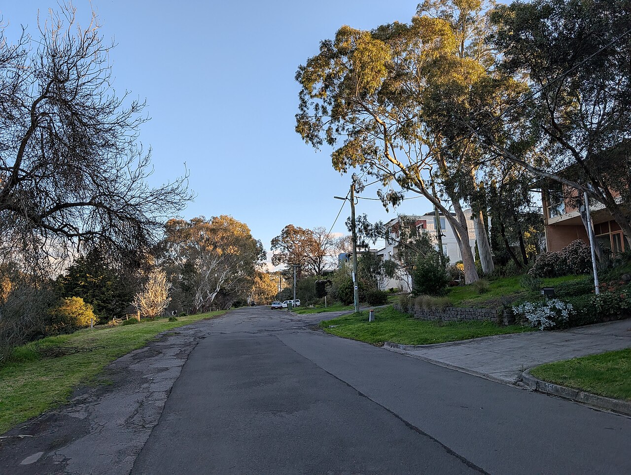 The Boulevard in Ivanhoe East, a winding tree-lined road