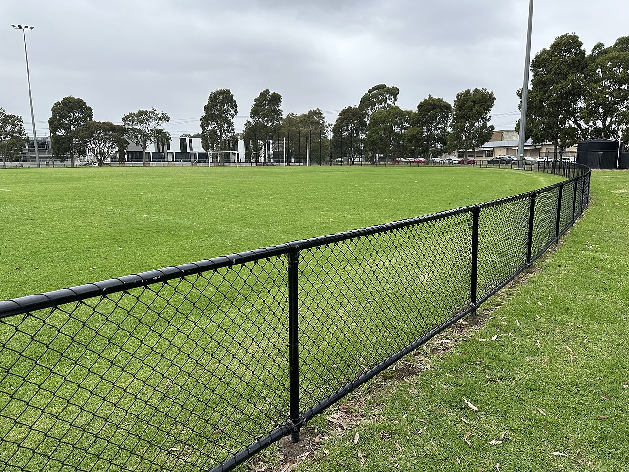 Grassed sports oval behind a wire fence at Thomas Carroll Reserve