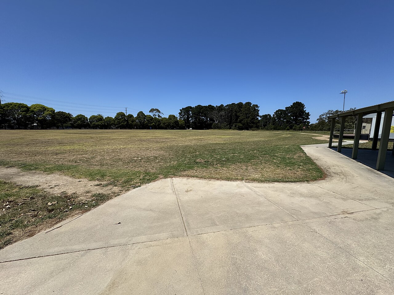 Open grass at Tyabb Oval
