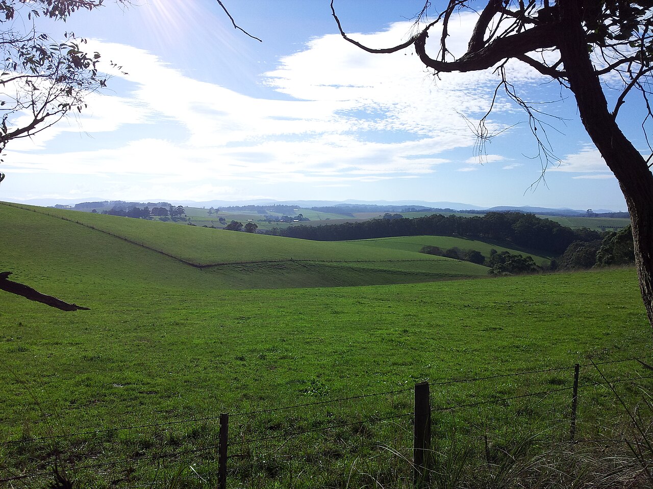 Rolling green hills and paddocks under a blue sky