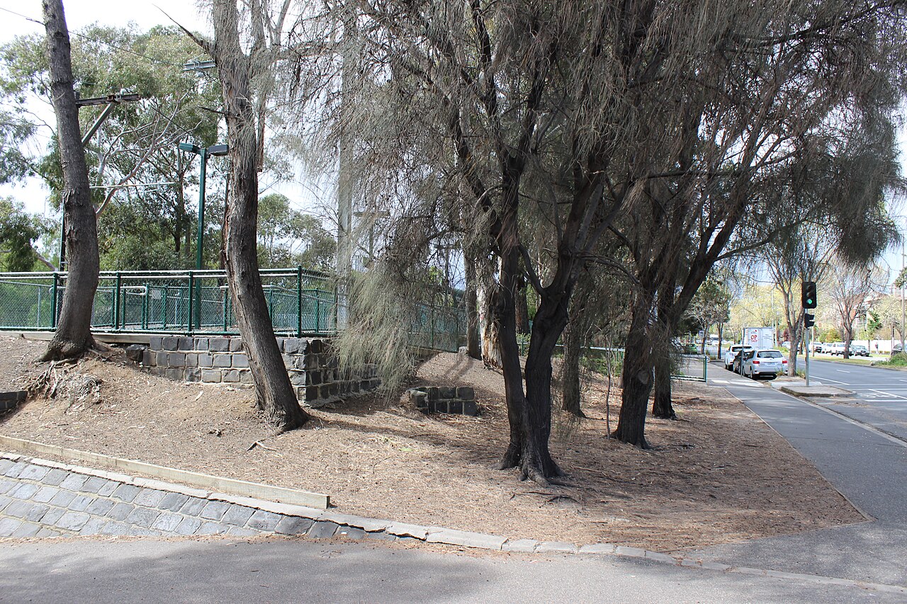 Tree-lined footpath on the west side of Wright Street tram stop