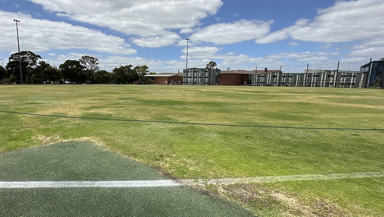 Open grass at Whitehorse Reserve
