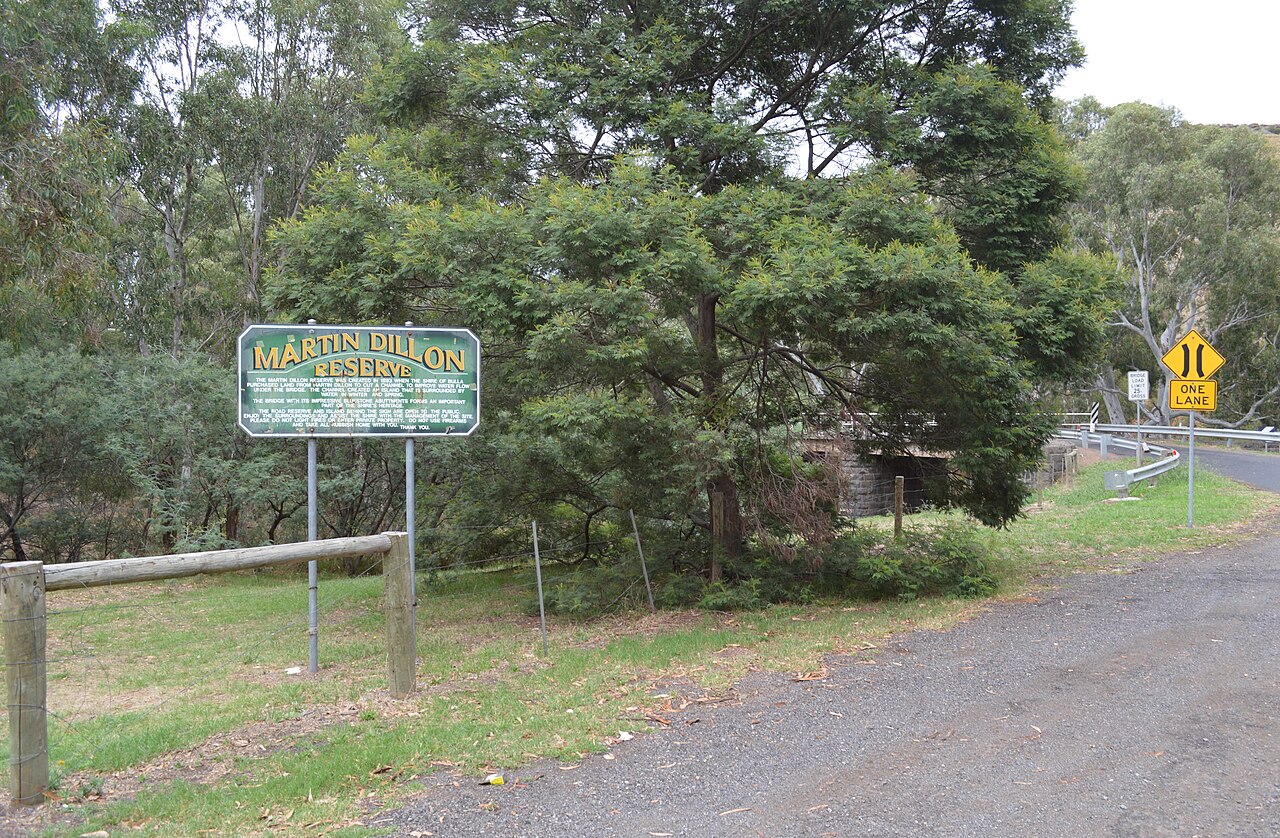 Entrance track at Martin Dillon Reserve in Wildwood