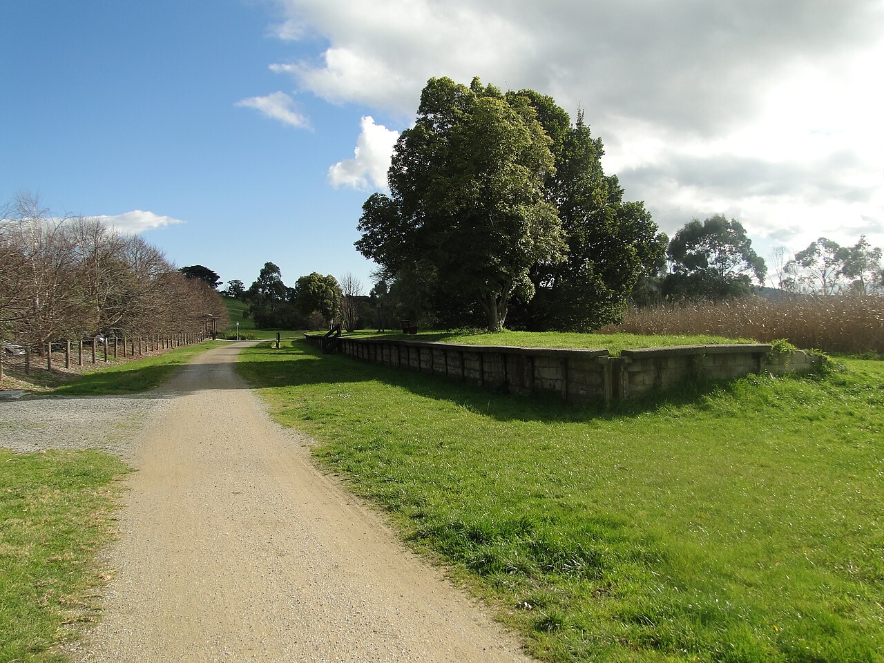 Trail through the former Woori Yallock railway station site