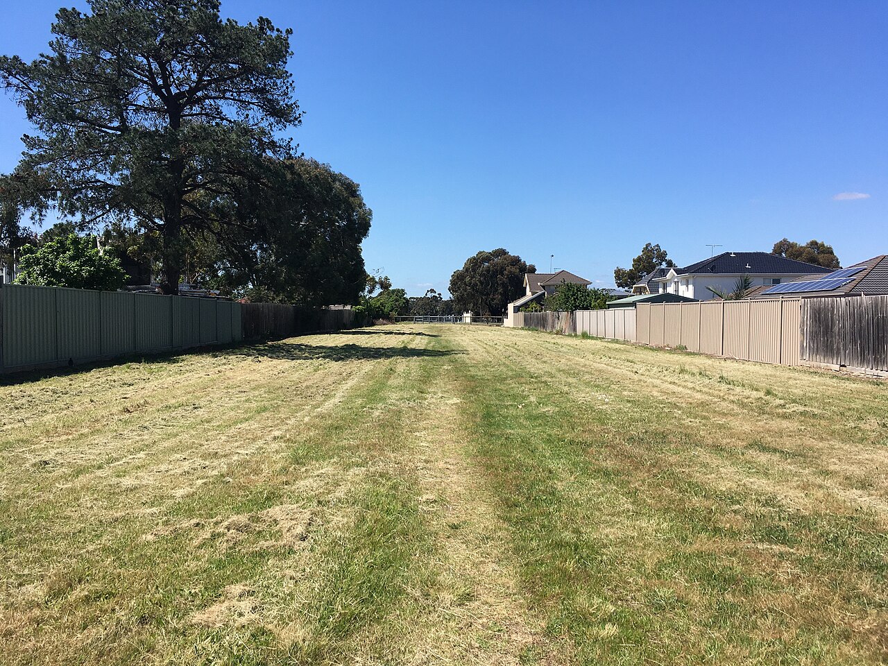 Grassy Yan Yean Pipe Reserve in Thomastown