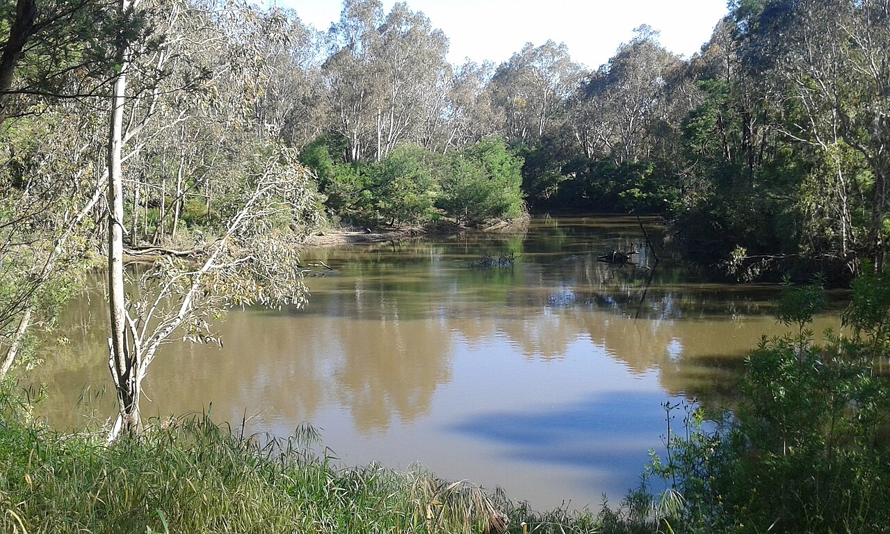 Yarra River and bushland at Ivanhoe