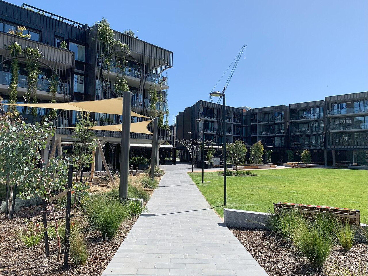 YarraBend central courtyard with lawn and paths