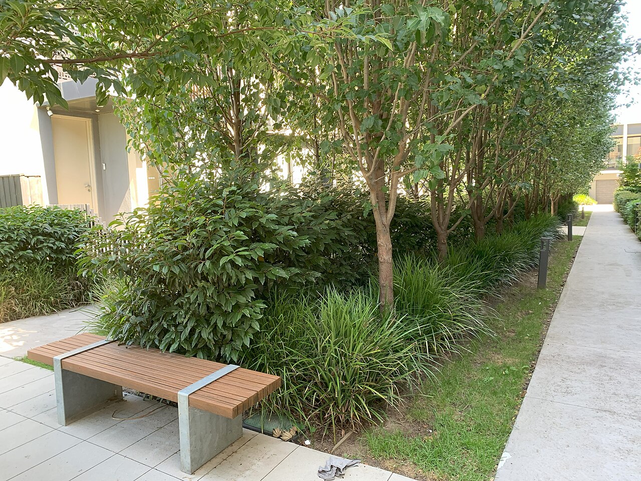 YarraBend Peck Walk garden with a bench