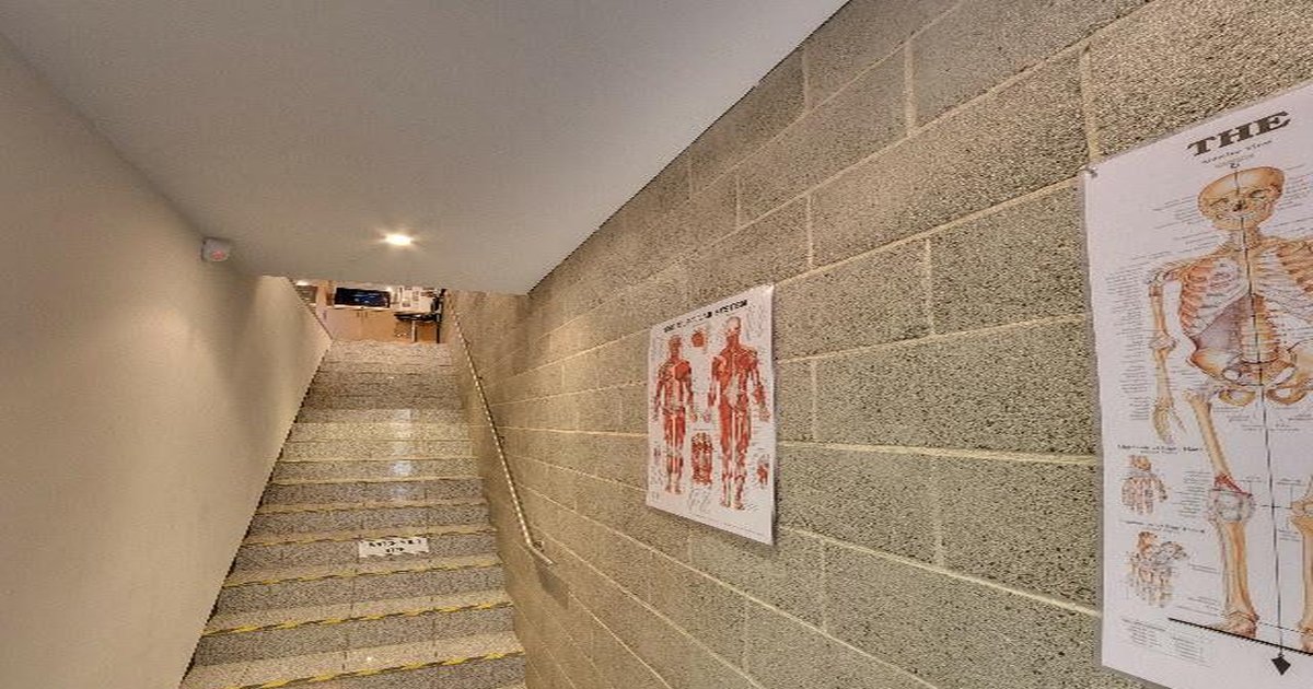 Best Cocktail Bars in Cremorne