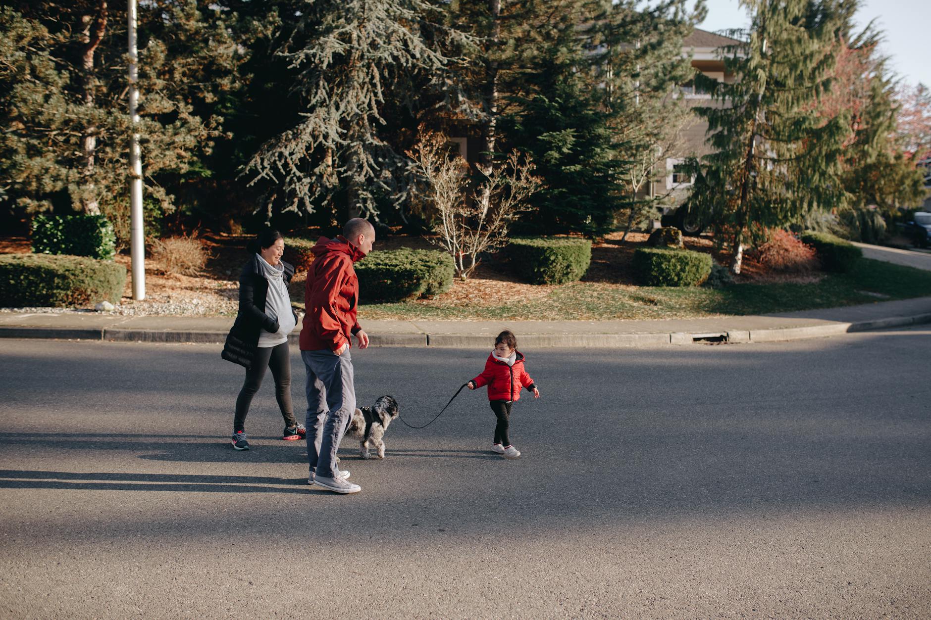 Cremorne warehouse conversions and Church Street streetscape