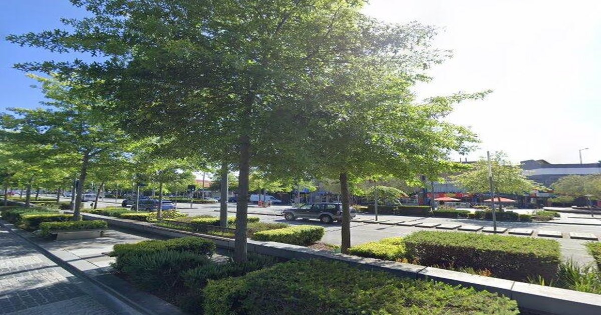 Dandenong Community Guide