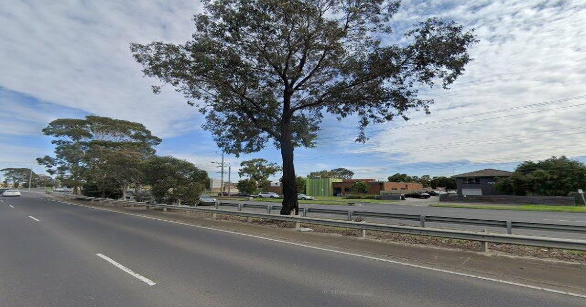 Libraries Near Deer Park