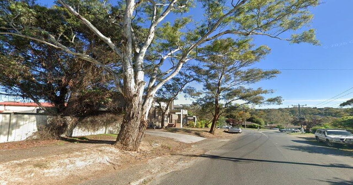 Best Bakeries in Diamond Creek