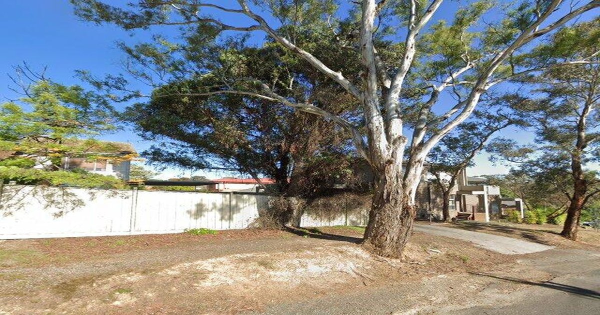 Diamond Creek Council Services Guide