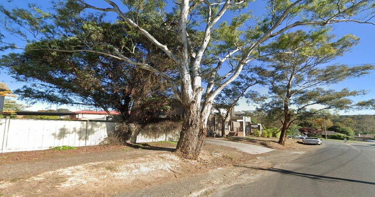 Libraries Near Diamond Creek