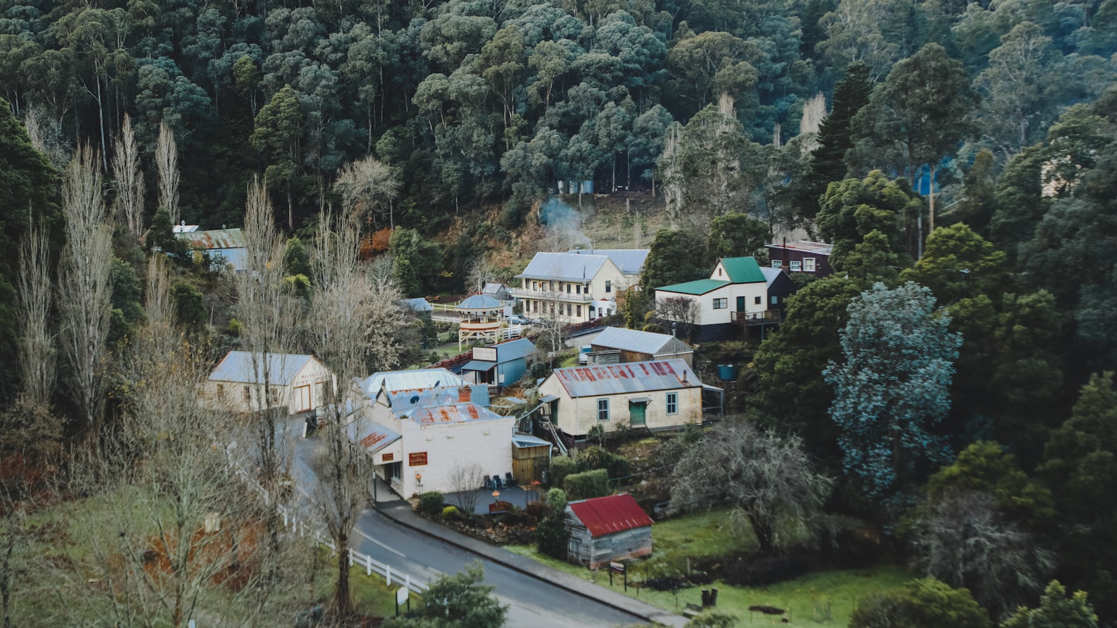 Your Guide to Dingley Village (2026) -- Transport, Parks and Local Character