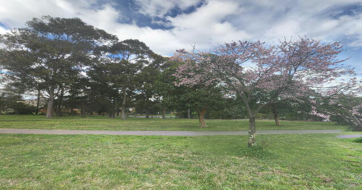 Best Playgrounds in Doncaster East