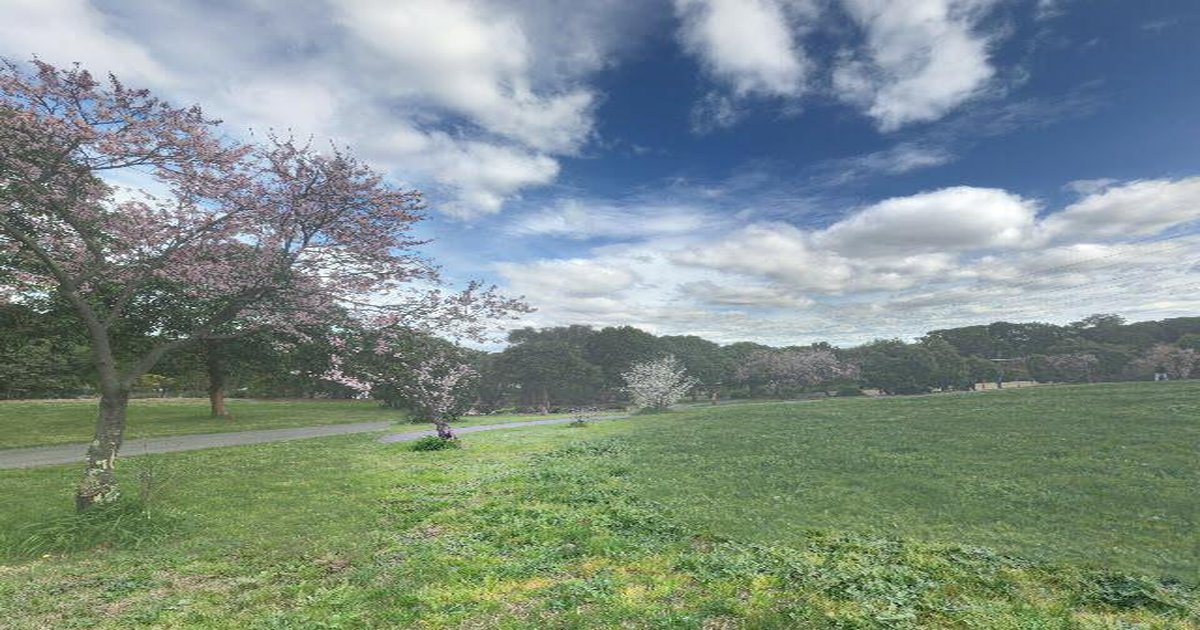 Running & Cycling Routes in Doncaster East