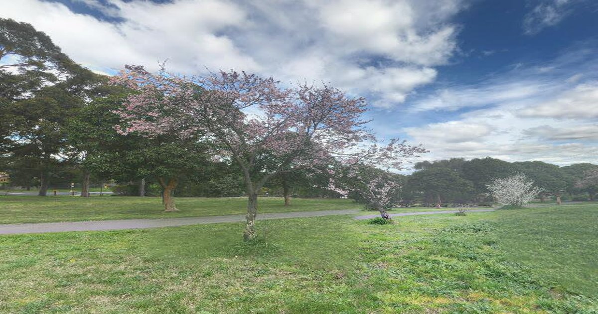 Sports Clubs in Doncaster East